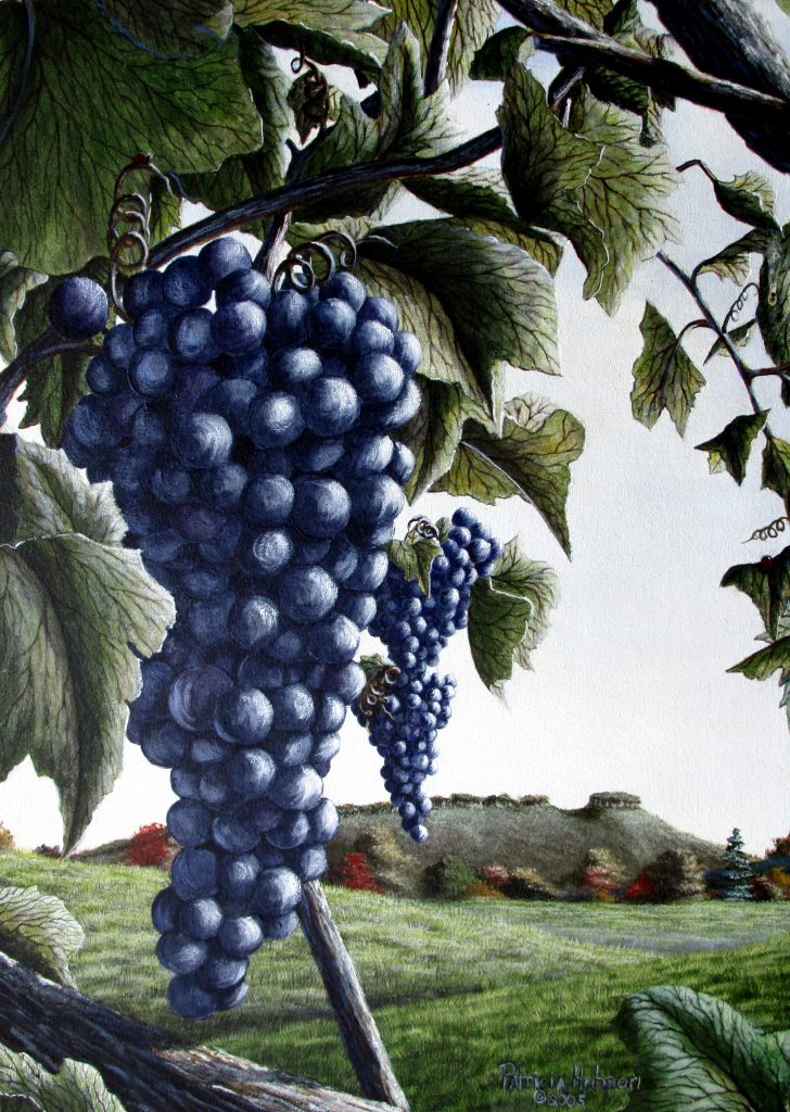 This vineyard art, "Wine Country" features a view of Pilot Mountain, NC as it is seen through bunches of delicious grapes hanging on the vines in a local vineyard and was painting by artist Patricia Hobson.