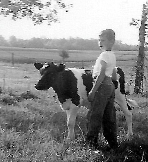 A picture of Felix in his younger years with one of his calves on the farm.